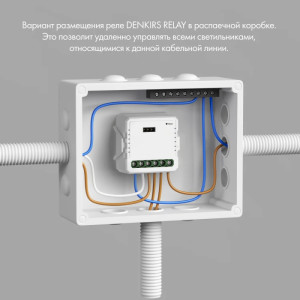 Wi-Fi реле Relay RL1002-SM