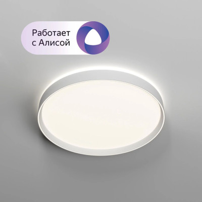Потолочный светильник PLATO DK6511-WH